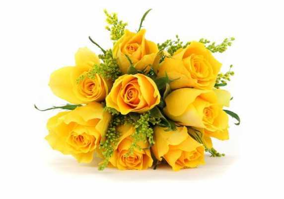 黄色玫瑰花语代表什么意思（黄色玫瑰花花语和寓意）