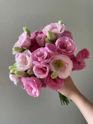 粉色桔梗花的花语和图片（粉色桔梗花束图片）